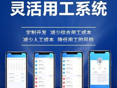 内蒙古人力资源公司研发劳务派遣管理系统图5